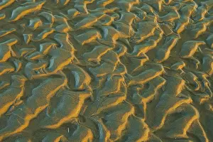 Evening Light Prints: Structure in sandy beach at low tide
