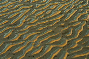 North Sea Landscape Prints: Structure in sandy beach at low tide