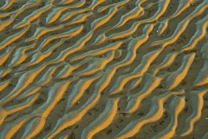 Evening Light On Mudflats Prints: Structure in sandy beach at low tide