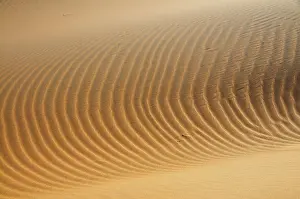 Travel Photography Desert Scenes Prints: Structures in the sand, desert of Erg Chebbi