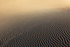 Maspalomas Sand Dunes Prints: Structures in the sand, dunes of Maspalomas