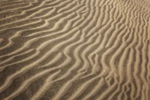 Maspalomas Sand Dunes Prints: Structures in the sand, dunes of Maspalomas