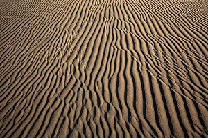 Maspalomas Sand Dunes Prints: Structures in the sand, dunes of Maspalomas