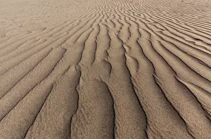 Maspalomas Sand Dunes Prints: Structures in the sand, dunes of Maspalomas