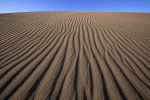 Gran Canaria Landscape Prints: Structures in the sand, dunes of Maspalomas