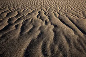 Gran Canaria Landscape Prints: Structures in the sand, dunes of Maspalomas
