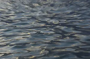 Abstract Background Images Prints: Structures on water surface