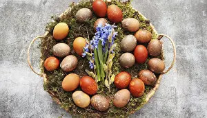 Images Dated 31st March 2024: Stylish Easter Table Setting Print
