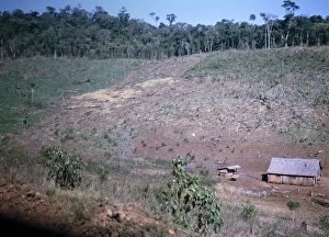 Subsistence Farming Deforestation Print, Parana, Brazil 1962