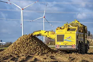 Sugar Beet Harvest Prints: Sugar beet harvest, with an automatic