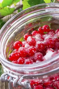 Red Currant Prints: Sugared red currant