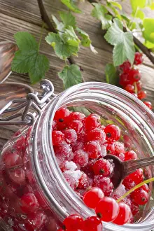 Red Currant Prints: Sugared red currant