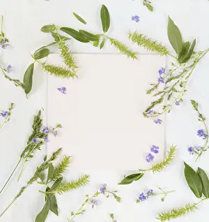 Flat Lay Photography Prints: Summer frame with fresh branches