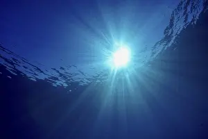 Underwater World Photography Prints: Sun rays break through the surface of the ocean