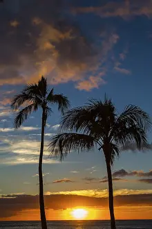 Atmospheric Evening Light Shot Prints: Sun setting between two palm trees