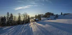 Winter Landscape Switzerland Prints: Sun shining through bare trees