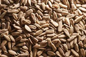 Balanced Diet Ingredients Prints: Sunflower seed kernels forming a full frame background