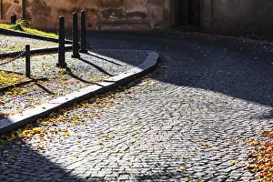 Autumn Street Scene Prints: Sunlight in the fall on the pavement