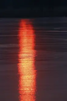 Middle Elbe Biosphere Reserve Prints: Sunrise with reflection on the ice