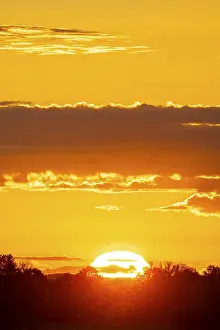 Overcast Sky In Germany Prints: Sunrise, sky and clouds orange, Thuringia, Germany