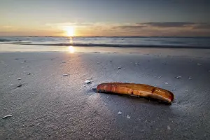 Benelux Coastal Photography Prints: Sunset on the beach of De Panne