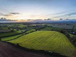 Evening Sun In The Countryside Prints: Sunset over Fields and Farms, Devon