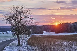 Central Europe Countryside Prints: Sunset above a forest, with a little trail and fields