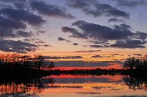 Evening Sky Reflections Prints: Sunset on a lake with trees and clouds
