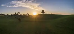 Panorama View Switzerland Prints: Sunset with lime tree on Drumlinhugel
