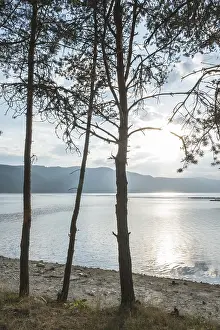 Evening Sky Photography Prints: Sunset on mountain dam. Pine trees