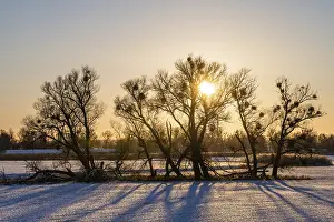 Deserted Wetland Landscape Prints: Sunset in the Oder floodplains in winter