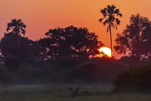 UNESCO World Heritage Site Botswana Prints: Sunset over the Okavango Delta