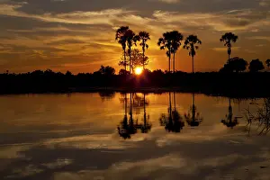 Botswana Landscape Photography Prints: Sunset over the Okavango Delta in Botswana