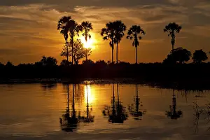 UNESCO World Heritage Site Africa Prints: Sunset over the Okavango Delta in Botswana