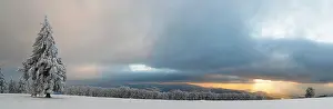 Evening Light In The Black Forest Prints: Sunset after a snowfall on the Kandel