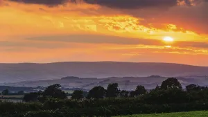Deserted English Countryside Prints: Sunset over Torquay Fields, Devon