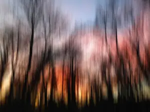 Atmospheric Nature Photography Prints: Sunset, trees, abstract, wipe effect, Germany