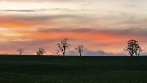 England Countryside Scenery Prints: Sunset over Trees and Fields, England