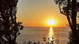 Atlantic Coast Sunset Prints: Sunset behind trees by the sea