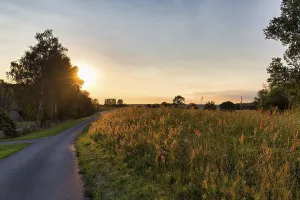 Evening Sun In Germany Prints: Sunset behind trees, sun rays, Elbe cycle path
