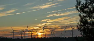 Sustainable Electricity Generation Prints: Sunset, wind turbines, sunset, tree