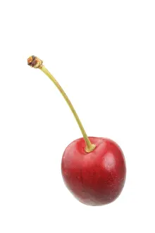 Isolated Fruit Images Prints: Sweet cherry
