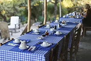 Shallow Depth Of Field Image Prints: Table with empty plates and coffee cups