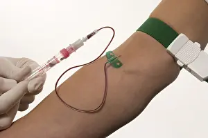 Blood Draw Process Prints: Taking blood