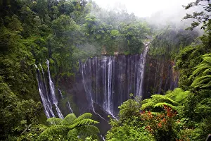 East Java Landscape Prints: A tall waterfall flows over a cliff in the middle of a thick