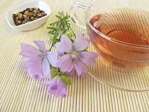 Malvaceae Plant Images Prints: Tea with Common mallow