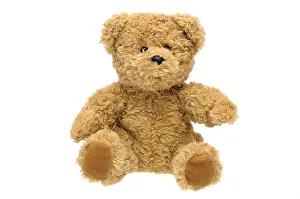 Plush Toy Photography Prints: Teddy bear