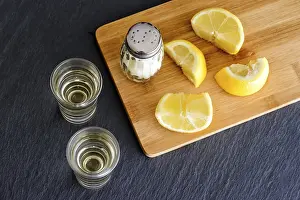 Citrus Fruit Drink Prints: Tequila
