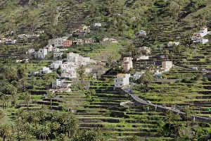 Valle Gran Rey Landscape Prints: Terraced fields, Valle Gran Rey
