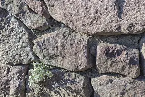 Close Up Texture Prints: Texture of a boulder with moss and lichen